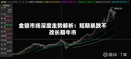 金银市场深度走势解析:短期暴跌不改长期牛市-第3张图片