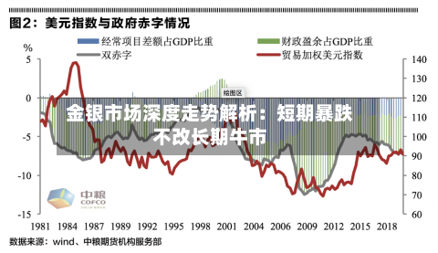 金银市场深度走势解析:短期暴跌不改长期牛市-第2张图片