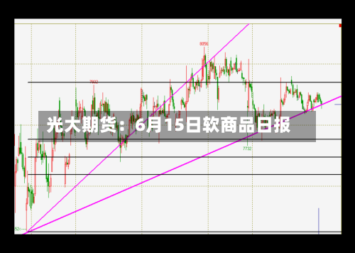 光大期货:6月15日软商品日报-第2张图片
