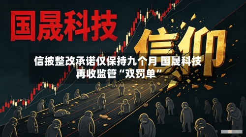 信披整改承诺仅保持九个月 国晟科技再收监管“双罚单	”-第2张图片