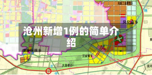 沧州新增1例的简单介绍-第2张图片