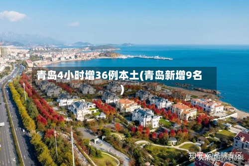 青岛4小时增36例本土(青岛新增9名)