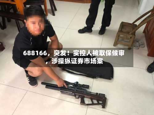 688166	，突发！实控人被取保候审，涉操纵证券市场案-第3张图片