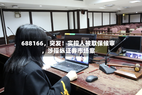 688166，突发！实控人被取保候审，涉操纵证券市场案-第2张图片